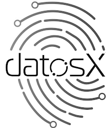 DATOSX logo