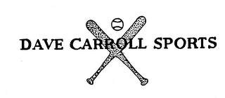 DAVE CARROLL SPORTS logo