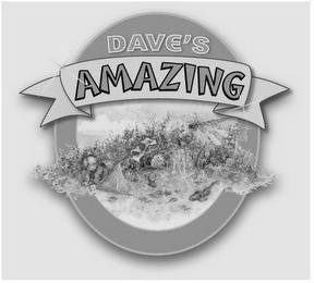 DAVE'S AMAZING logo