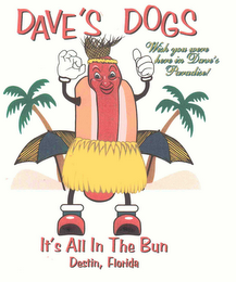 DAVE'S DOGS WISH YOU WERE HERE IN DAVE'S PARADISE! IT'S ALL IN THE BUN DESTIN, FLORIDA logo