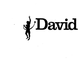 DAVID logo