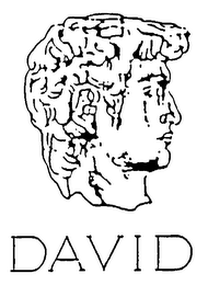 DAVID logo