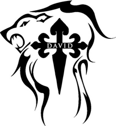 DAVID logo