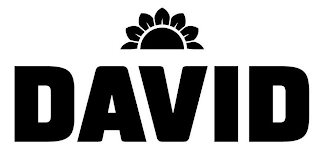DAVID logo
