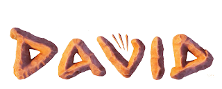 DAVID logo