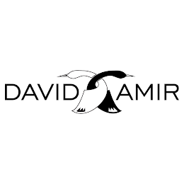 DAVID AMIR logo