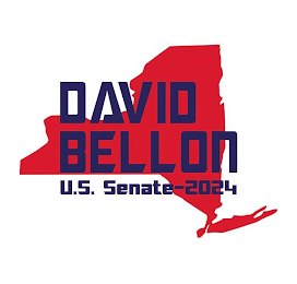 DAVID BELLON US SENATE- 2024 logo