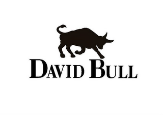 DAVID BULL logo