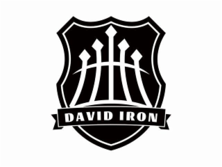DAVID IRON logo