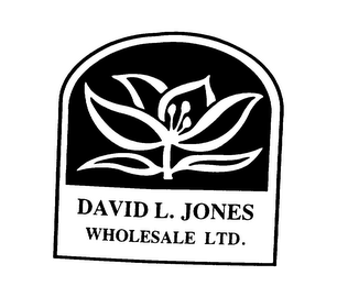 DAVID L. JONES WHOLESALE LTD. logo
