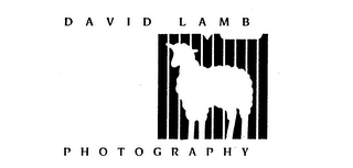 DAVID LAMB PHOTOGRAPHY logo