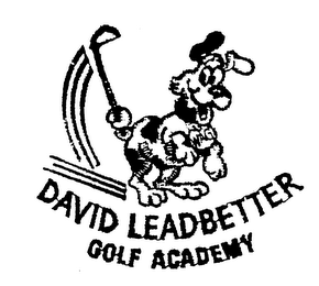 DAVID LEADBETTER GOLF ACADEMY logo