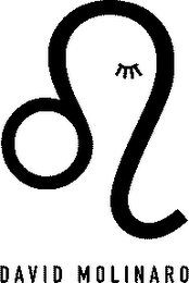 DAVID MOLINARO logo