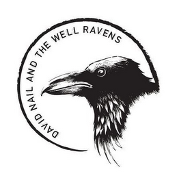 DAVID NAIL AND THE WELL RAVENS logo