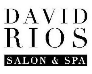 DAVID RIOS SALON & SPA logo