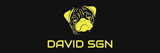 DAVID SGN logo