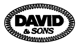 DAVID & SONS logo