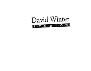 DAVID WINTER STUDIOS logo