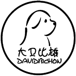 DAVIDBICHON logo