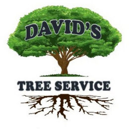 DAVID'S TREE SERVICE logo