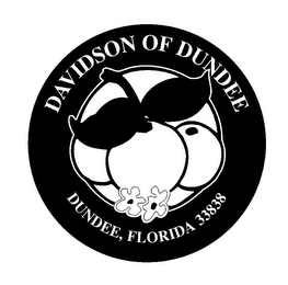 DAVIDSON OF DUNDEE DUNDEE, FLORIDA 33838 logo