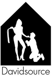 DAVIDSOURCE logo