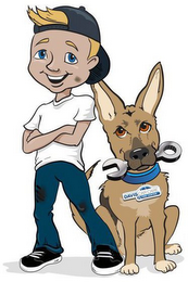 DAVIS CAR CARE & TIRE CENTER logo