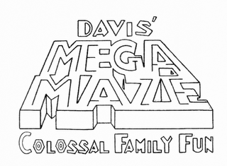 DAVIS MEGA MAZE COLOSSAL FAMILY FUN