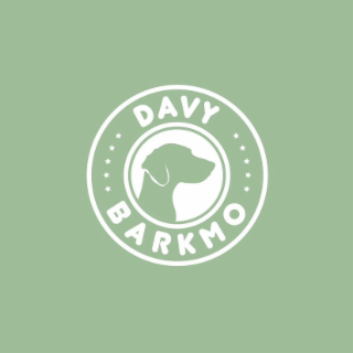 DAVY BARKMO logo