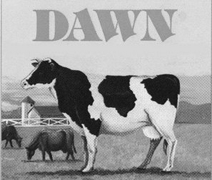 DAWN logo