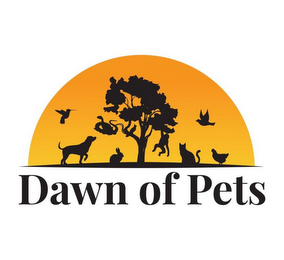 DAWN OF PETS logo