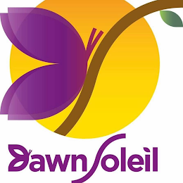DAWN SOLEIL logo