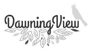 DAWNINGVIEW logo