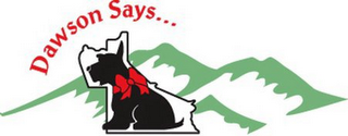 DAWSON SAYS... logo