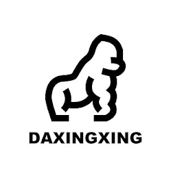 DAXINGXING logo