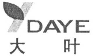DAYE logo