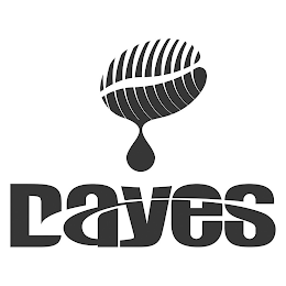 DAYES logo