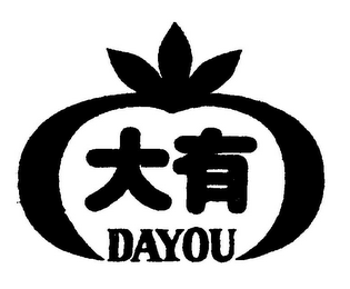 DAYOU logo