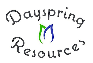 DAYSPRING RESOURCES logo