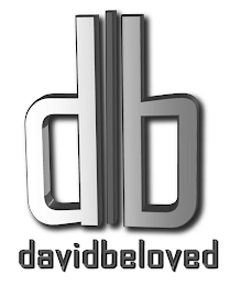 DB DAVIDBELOVED logo