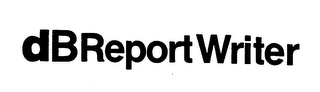 DB REPORT WRITER logo