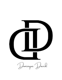 DD DOMINQUE DAVID logo