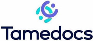 DD TAMEDOCS logo