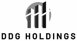 DDG HOLDINGS logo