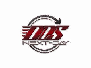 DDS NEXT-DAY logo