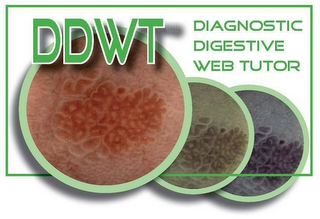 DDWT DIAGNOSTIC DIGESTIVE WEB TUTOR logo