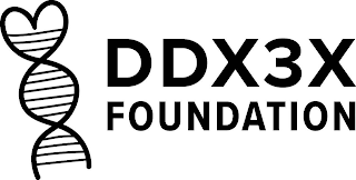 DDX3X FOUNDATION logo