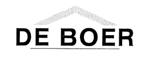 DE BOER logo
