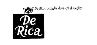 DE RICA RACCOGLIE DOVE CE IL MEGLIO logo