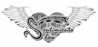 DE TIERRA CALIENTE SENTIMIENTO SHOW logo